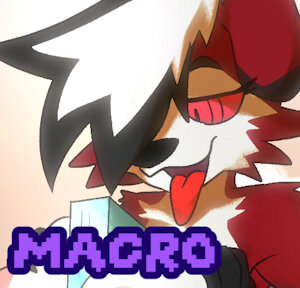 Macro comish