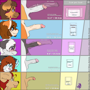 Dick size meme (Extended edition)