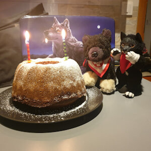 Little Balto's Birthday