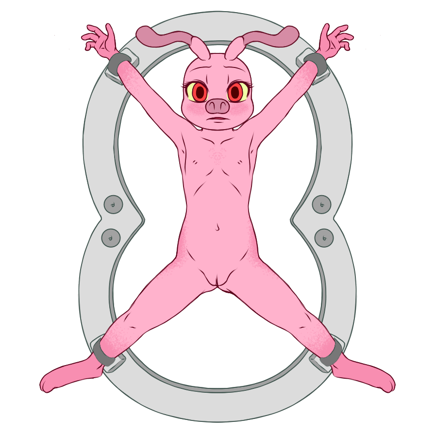 5372681_YacteruC1_export1705691142022.png