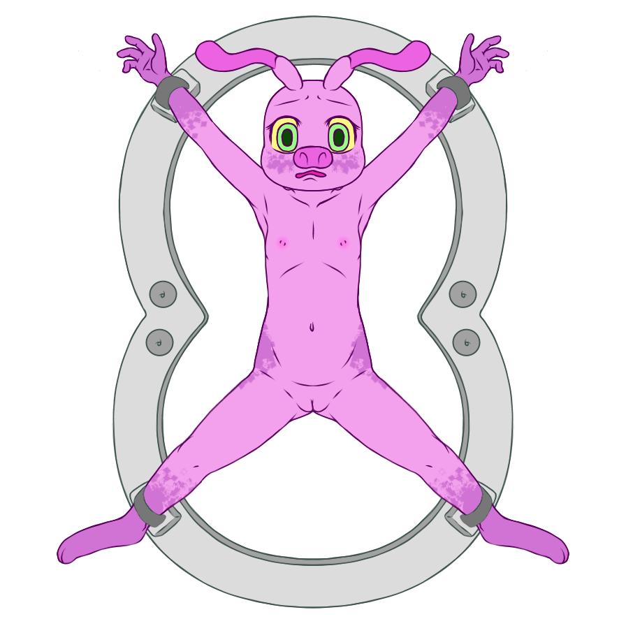 5372682_YacteruC1_export1705691135329.png