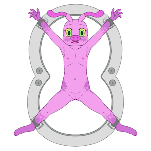 5372682_YacteruC1_export1705691135329.png