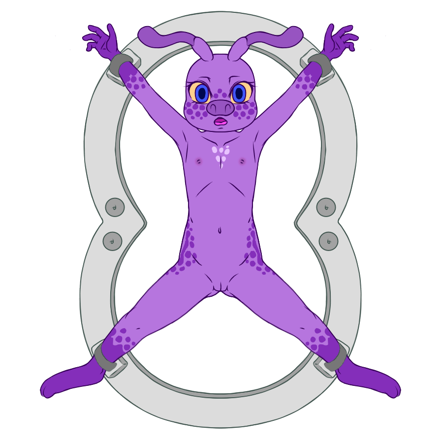 5372684_YacteruC1_export1705691127847.png