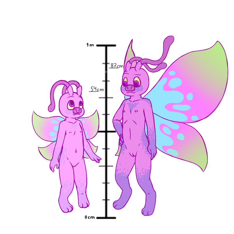 5373322_YacteruC1_export1689227539714.png