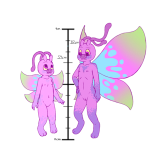 5373322_YacteruC1_export1689227539714.png