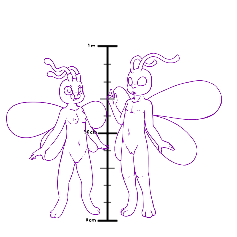 5373329_YacteruC1_export1689227566430.png