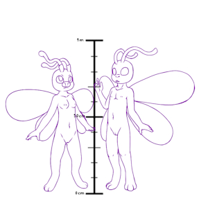 5373329_YacteruC1_export1689227566430.png