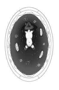 4144018_Chaon_cub-c-shave-nil-female.png