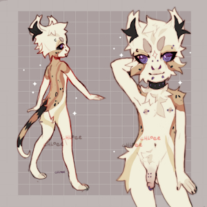CUB ADOPT [closed]