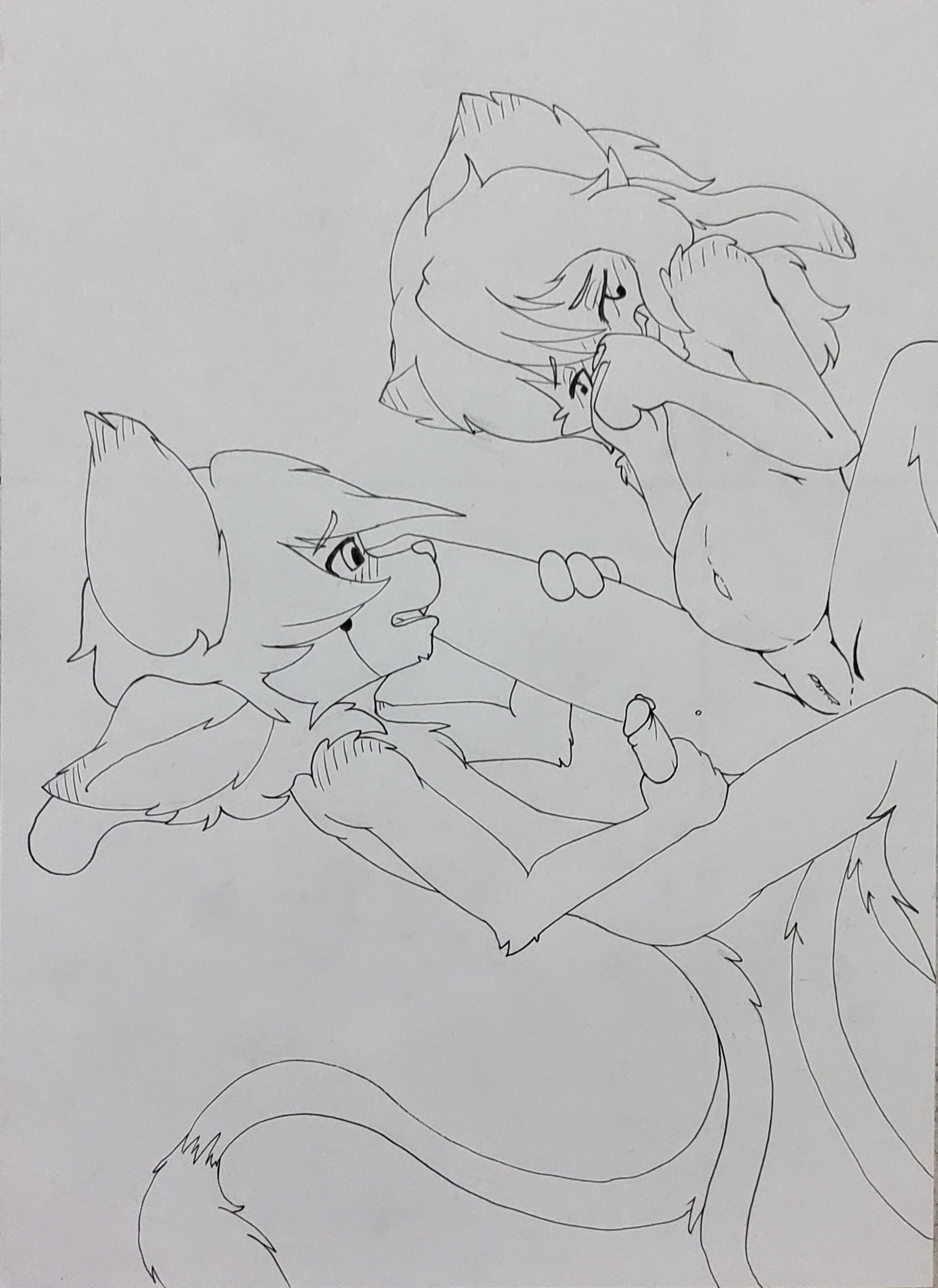 4148484_HiroKetzio_20220819_210319.jpg
