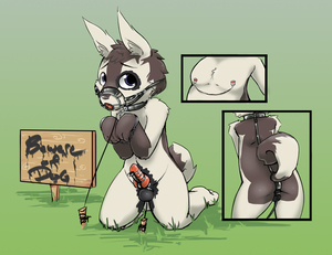 Beware of Dog!