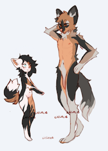 CUB/ADULT ADOPTABLES [closed]