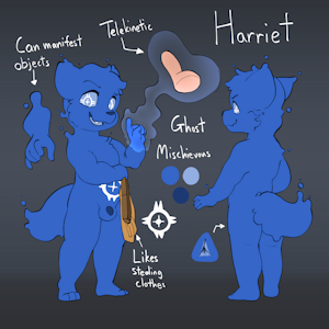 [C] GavinAlvarez
