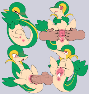 Snivy Spread Set