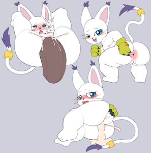 Gatomon 3 Set