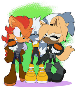 Team Paladin, The Start of the Team