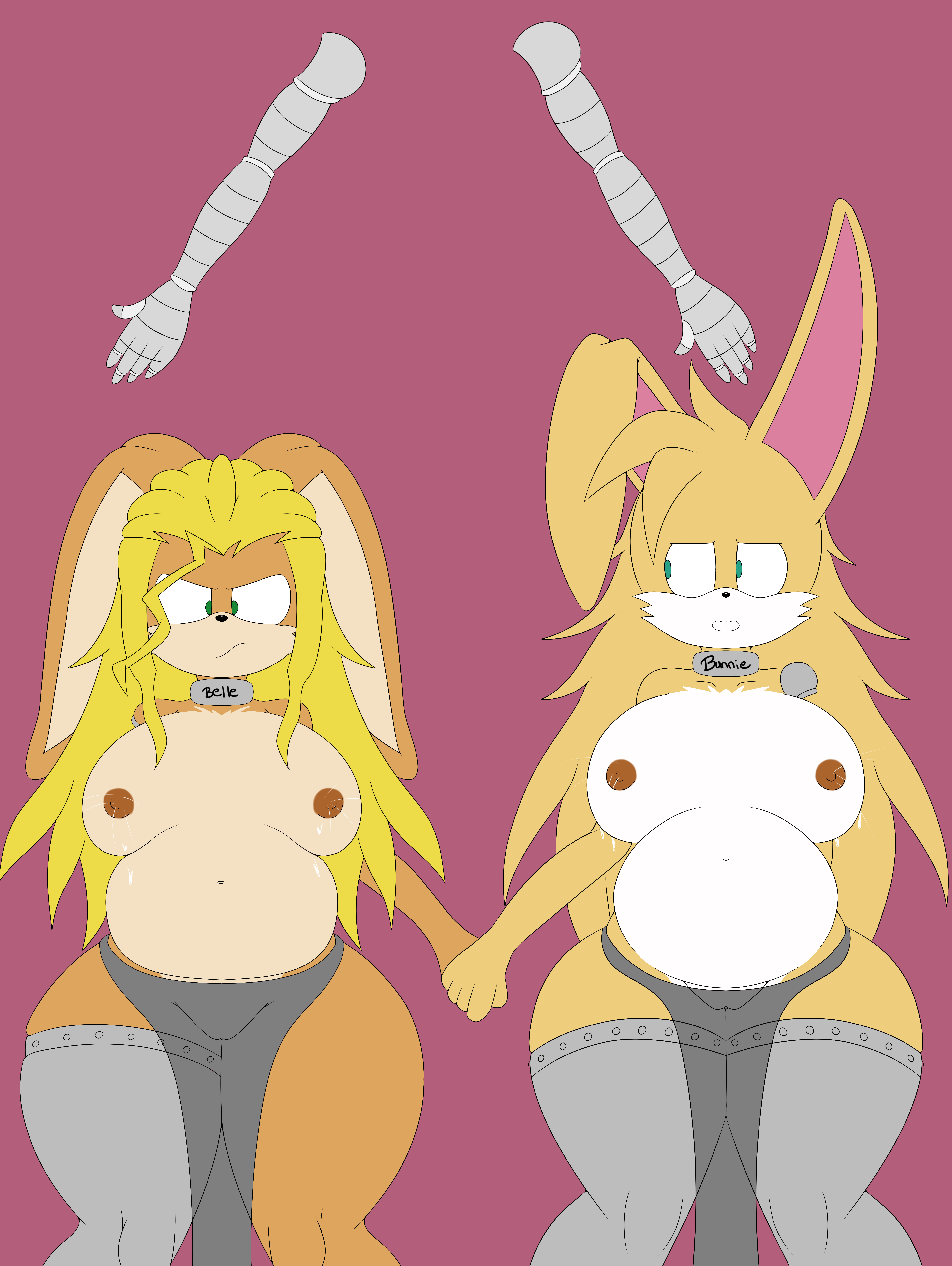 4152996_Zeromegas_belle_and_bunnie_captured_pregnant.png
