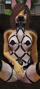 4153607_Charliepetpup_11.png