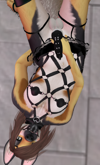 4153611_Charliepetpup_14.png
