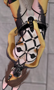 4153611_Charliepetpup_14.png