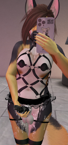 4153614_Charliepetpup_17.png