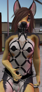 4153615_Charliepetpup_18.png