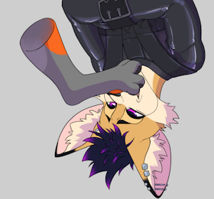 4153909_nononge_dubsthefox_upside_down_comm_fin_3.png