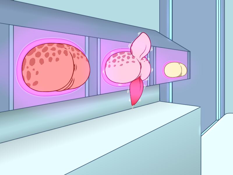 4155757_YacteruC1_3373593_yacteruc1_1606281736444.png