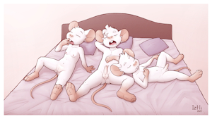Morning routine [SStar-Fanbox]