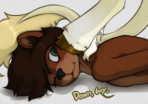 Down Boy