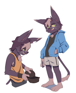 Maximo warmup