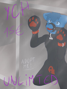 YCH pet sale