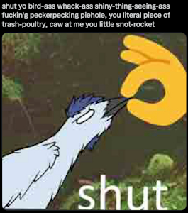 dumbass f☺ckin' emo parrot