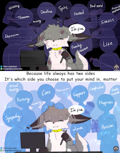 A slice of life