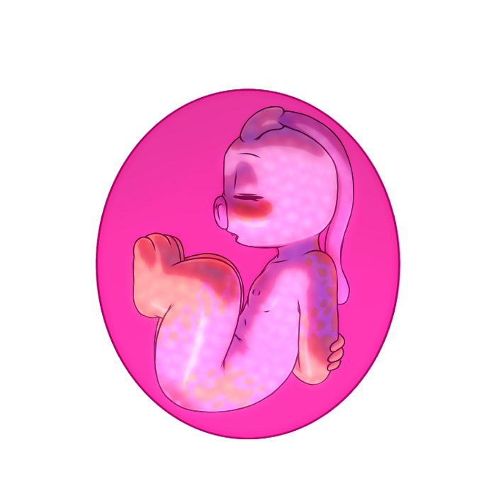 4176909_YacteruC1_export1663327624799.png