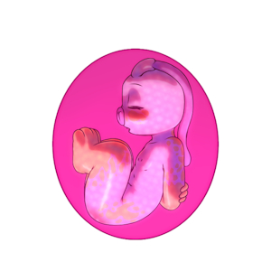 4176909_YacteruC1_export1663327624799.png