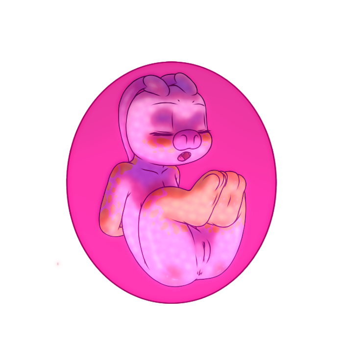 4176911_YacteruC1_export1663327733808.png