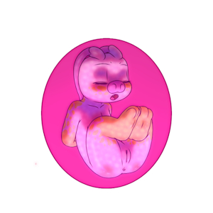 4176911_YacteruC1_export1663327733808.png