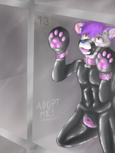 puppy kennel - Number 13