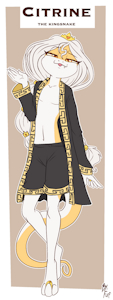 4177800_Fuf_princess-citrineclothedcolorgr.png