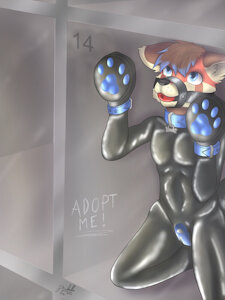 puppy kennel - Number 14