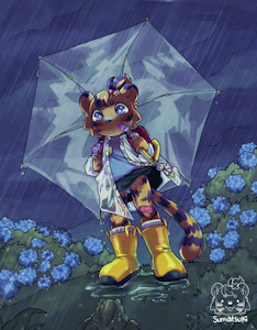 Rain