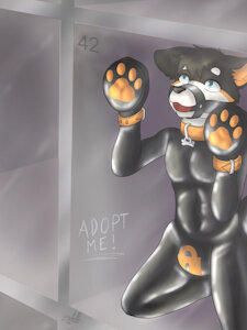 puppy kennel - Number 42