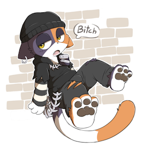 Trash cat
