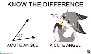 acute angle