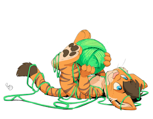Timothy and His Yarn