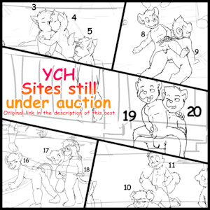 AUCTION