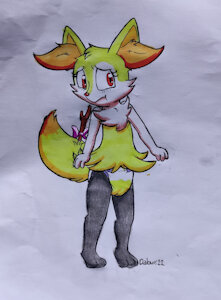 Braixen wets