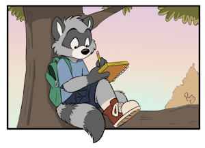 Raccoons Appreciation Day