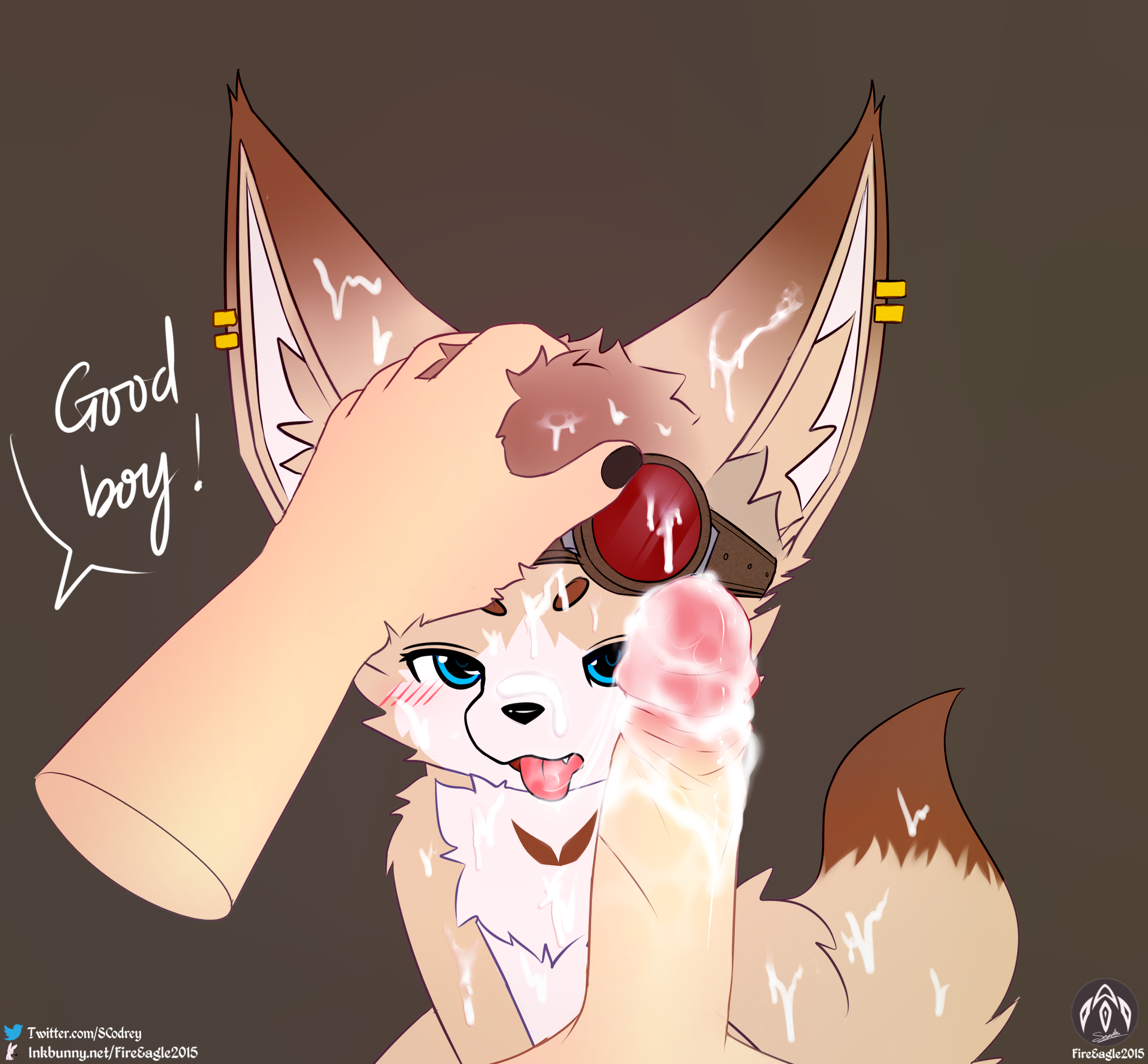 4201576_FireEagle2015_11.png